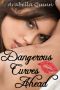 [Dangerous Curves Ahead 01] • Dangerous Curves Ahead 1